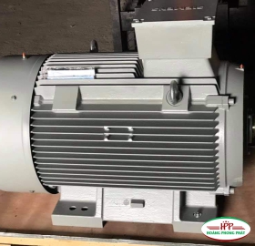 động cơ điện Siemens