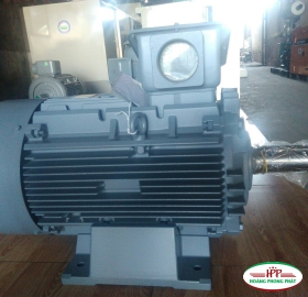 ĐỘNG CƠ ĐIỆN HITACHI