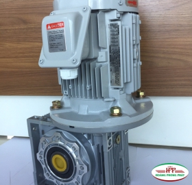 MOTOR GIẢM TỐC CỐT ÂM NMRV