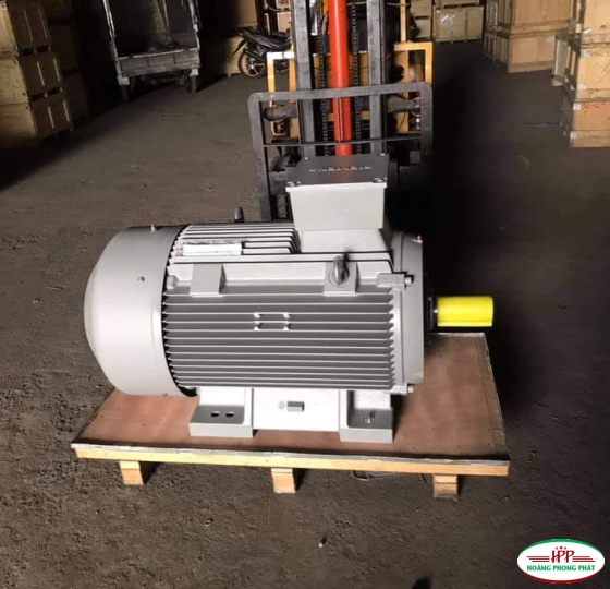 động cơ điện Siemens