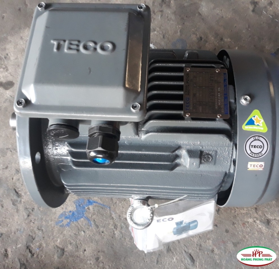 ĐỘNG CƠ ĐIỆN TECO