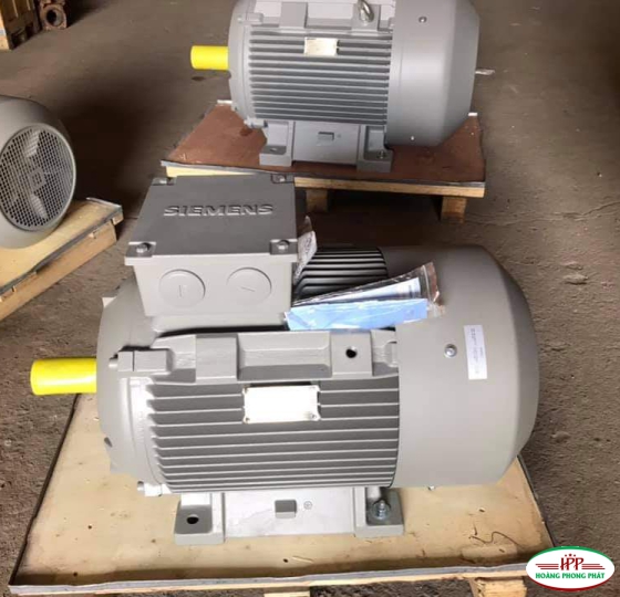 động cơ điện Siemens