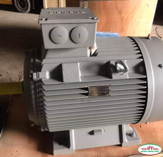 động cơ điện Siemens