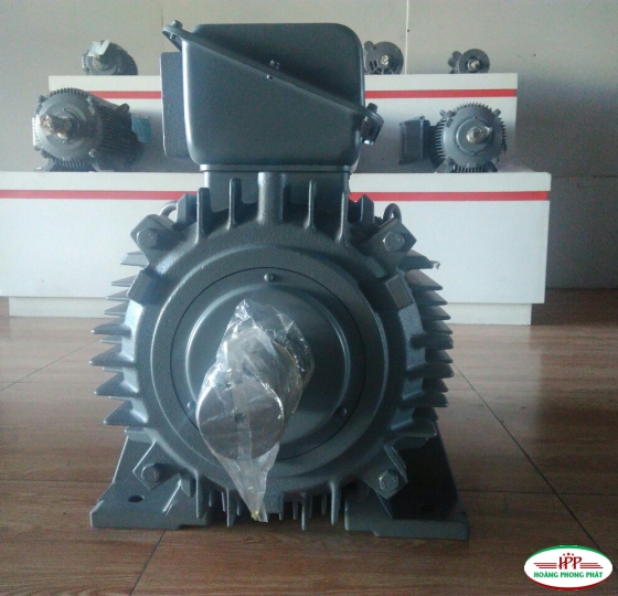 ĐỘNG CƠ ĐIỆN HITACHI