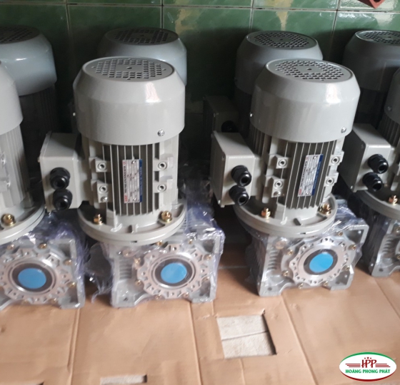 MOTOR GIẢM TỐC CỐT ÂM NMRV